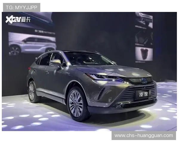 探索皇冠旗舰平台的核心优势，助力企业实现快速稳健发展