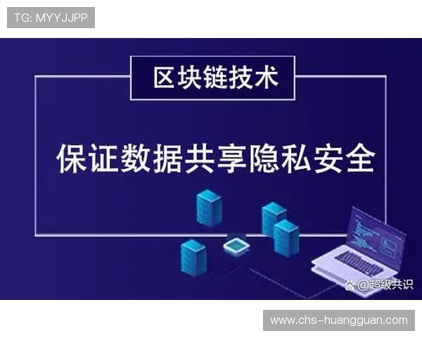 皇冠app官方下载官方平台，保障用户隐私与数据安全的下载指南