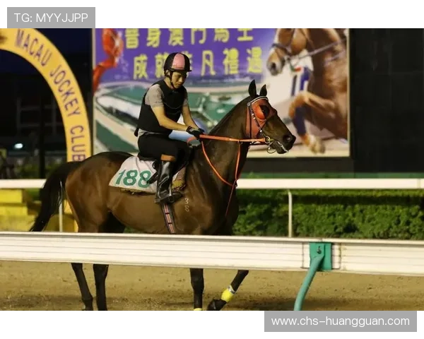 如何通过澳门赛马官网参与线上投注享受极速体验