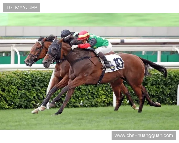 澳门赛马:丰富赛事安排让你感受非凡的赛马激情与娱乐盛宴 澳门赛马:丰富赛事安排让你感受非凡的赛马激情与娱乐盛宴