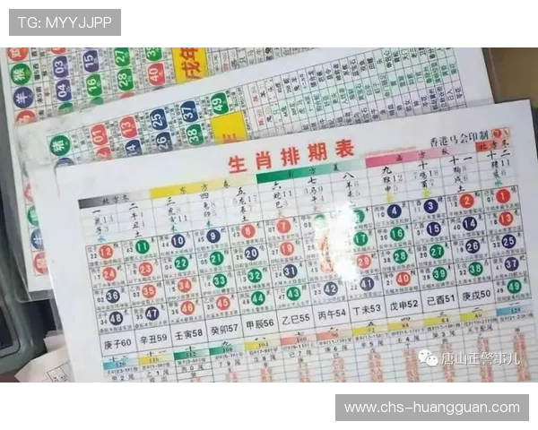 六合彩官网地址更新公告，官方最新入口信息及安全提示全解析